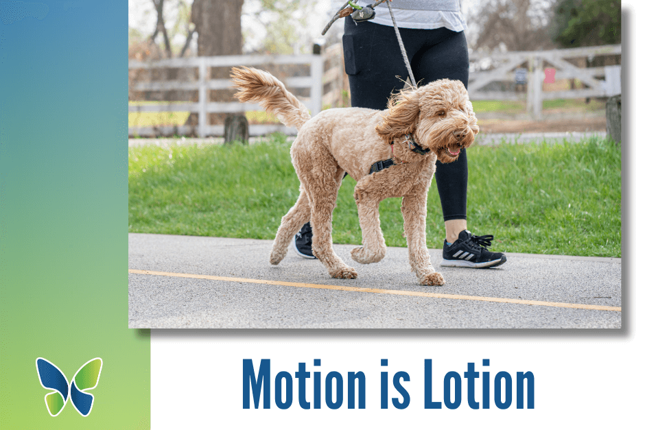 Motion is lotion